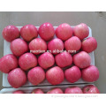/msite/products/detail/productid/54855511/id/542998.html